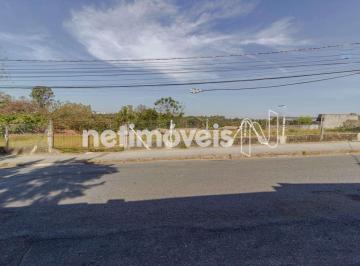 9359bd3f-b-0-rua-pedro-celestino-mendona-23-branas-lote-1.jpg · Terreno para Locação, Braúnas, Belo Horizonte
