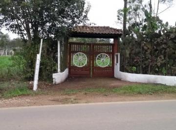 2021/12/544acd0630b275011d4624014eeb68b8.jpg · RURAL - IPELÂNDIA