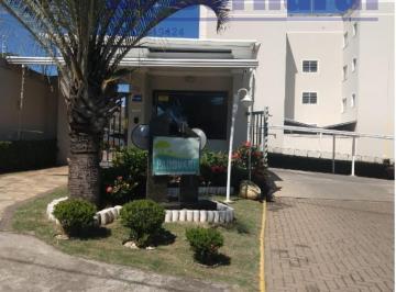 Foto 13 · Apartamento, Vila Monte Alegre, Paulínia, SP