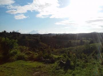 Foto 01 · Excelente Fazenda de 45 hectares entre Ilhéus e Itacaré