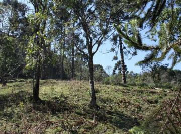 parte alta do terreno · Terreno - Bocaina de Minas