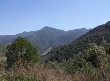 parte mais alta do terreno · Terreno, Santa Clara, Bocaina de Minas, MG