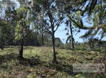 parte alta do terreno · Terreno - Bocaina de Minas