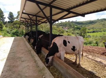 Foto 01 · Fazenda com excelente estrutura e boa de água em Passa Tempo/MG
