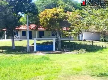 2021/03/142363407.jpg · EXCELENTE FAZENDA EM IBIRATAIA - OPORTUNIDADE DE INVESTIMENTO