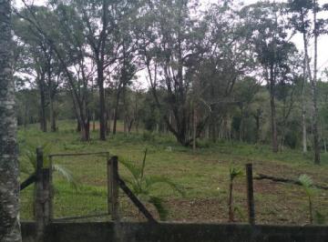 Foto 01 · Terreno com 2 hec São Simão