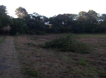 Comercial · 13002m² · Area, Itacolomi, Gravataí, RS