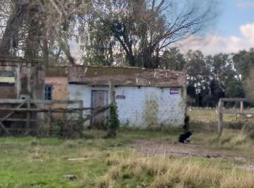 2021/08/227b018ef39b154d87feb17ad7c3d0b2.jpg · RURAL - PORTO