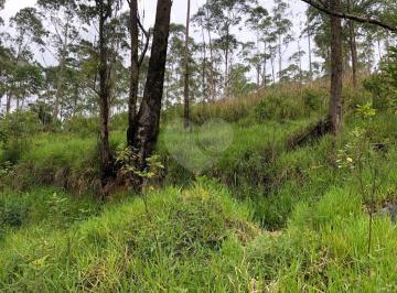 Imagem Principal · Lindo terreno na Serra da Cantareira