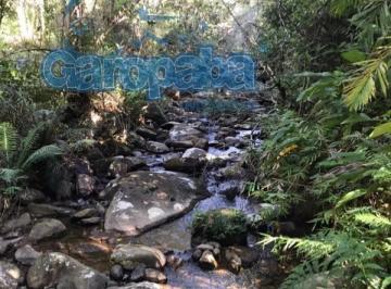 Foto 23 · GAROPABA-SC, VENDO ÁREA DE 50.617M2, ou 5,61HA,  MÉDIA 40M DE LARGURA X 1.259M,  ENERGIA ELÉTRICA E 