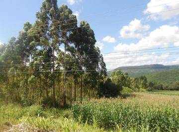 Foto 01 · Area, Linha Araripe, Nova Petrópolis, RS