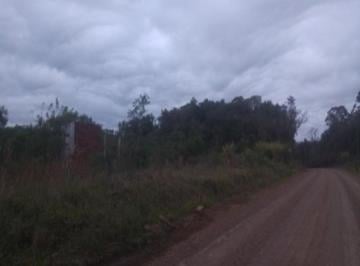 Frente área para estrada entre NP e Linha NOva · Area, Linha Nova, Linha Nova, RS