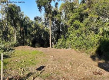 Foto 03 · Terreno, Pinhal Alto, Nova Petrópolis, RS