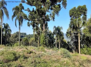 Foto 03 · Terreno, Pinhal Alto, Nova Petrópolis, RS