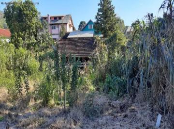 Foto 03 · Terreno, Pinhal Alto, Nova Petrópolis, RS
