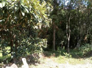 Foto 02 · Terreno, Linha Brasil, Nova Petrópolis, RS