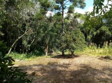 Foto 02 · Terreno, Linha Brasil, Nova Petrópolis, RS