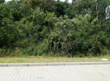 Foto 04 · Terreno, Linha Imperial, Nova Petrópolis, RS