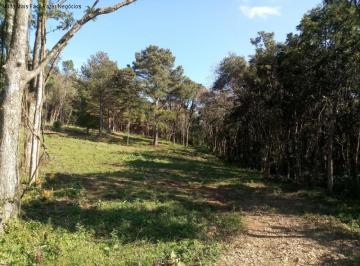 Vista interna Ã¡rea de terra · Area, Vila Olinda, Nova Petrópolis, RS