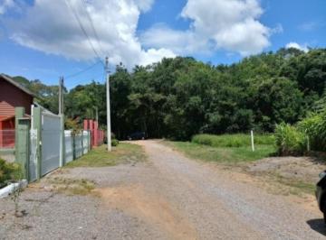 Rua frente casa · Casa, Linha Araripe, Nova Petrópolis, RS