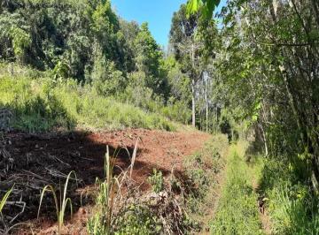 Foto 01 · Area, São Jacó, Nova Petrópolis, RS