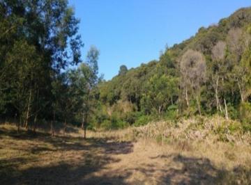 Vista da área · Area, Fazenda Pirajá, Nova Petrópolis, RS