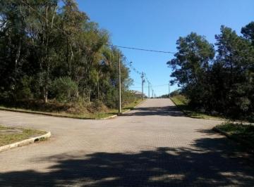 Foto 01 · Terreno, Juriti, Nova Petrópolis, RS