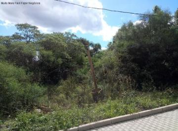 Foto 01 · Terreno, Linha Imperial, Nova Petrópolis, RS