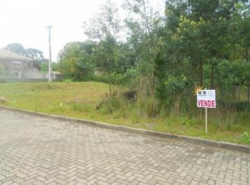 65532076.jpg · Terreno, Pousada da Neve, Nova Petrópolis, RS