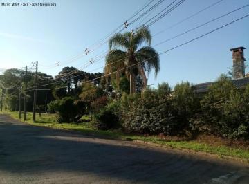 Foto 01 · Terreno, Logradouro, Nova Petrópolis, RS