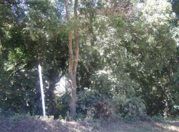 Foto 01 · Terreno, Logradouro, Nova Petrópolis, RS