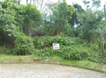 65529965.jpg · Terreno, Juriti, Nova Petrópolis, RS