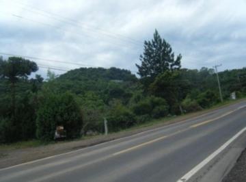 65525705.jpg · Area, Piá, Nova Petrópolis, RS