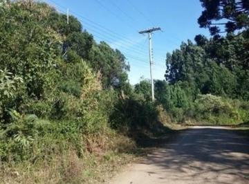 65531313.jpg · Area, Linha Imperial, Nova Petrópolis, RS
