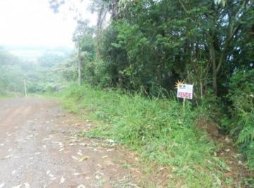 65533329.jpg · Terreno, Germânia, Nova Petrópolis, RS