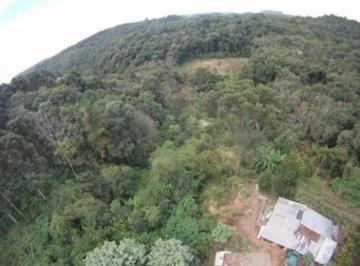 Rua acesso principal Ermilio Harbich · Area, Logradouro, Nova Petrópolis, RS