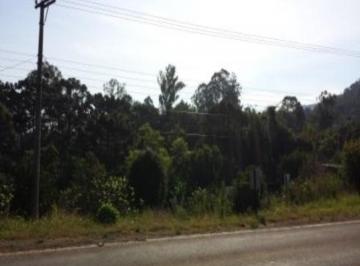 65529663.jpg · Terreno, Linha Brasil, Nova Petrópolis, RS