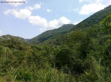 Foto 01 · Area, Linha Pirajá Baixa, Nova Petrópolis, RS
