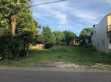 Foto 01 · Terreno, Logradouro, Nova Petrópolis, RS