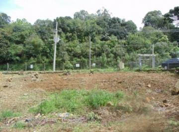 65533768.jpg · Terreno, Varzea Grande, Gramado, RS