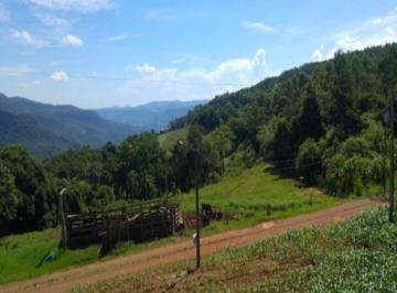 Vista varanda casa · Sitio, Santa Inês, Nova Petrópolis, RS