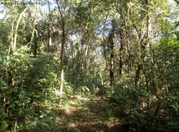 Foto 01 · Area, Rincão da Serra, Linha Nova, RS