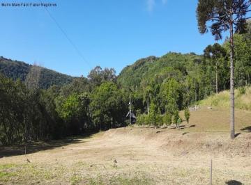 Foto 01 · Area, Linha Araripe, Nova Petrópolis, RS