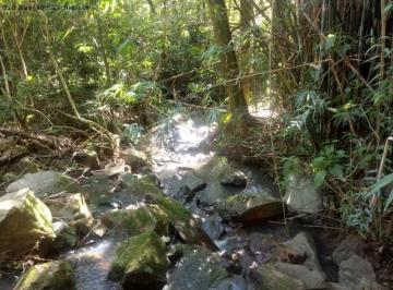 Foto 01 · Area, Linha Temerária, Nova Petrópolis, RS