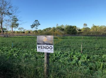 2020/08/123616606.jpg · Terreno com instalação de horta - JS Imóveis - Cacoal