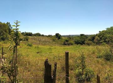 2021/12/d3fdab39720eb42f4621a18114e56008.jpg · RURAL - COCÃO