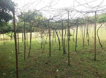 10 · Terreno no bairro Vila Nova