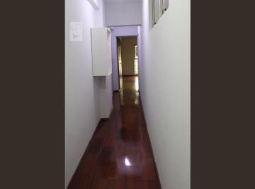Apartamento · 46m² · 1 Quarto · Apartamento para Aluguel - Cambuí, 1 Quarto,  46 m² - Campinas
