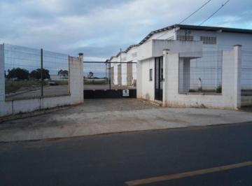 Foto 01 · GALPÃO EM AVIÁRIO EM FEIRA DE SANTANA