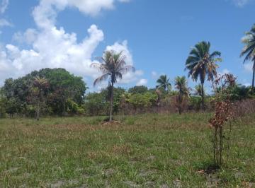 20221216075735279.jpg · Ilha para Venda em Itamaracá, Santa Cruz, 1 dormitório, 1 banheiro, 1 vaga